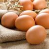 TELUR