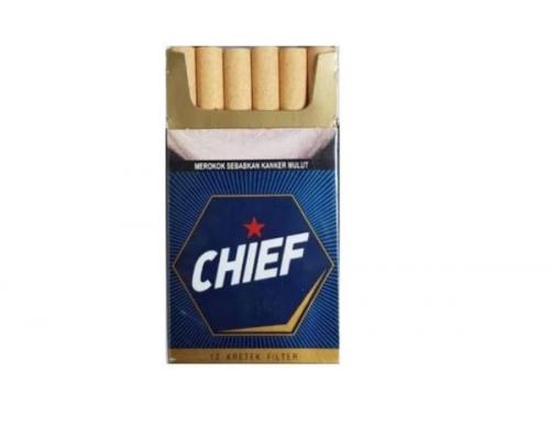 CHIEF RKK FILTER12S – ZA Pagar Alam